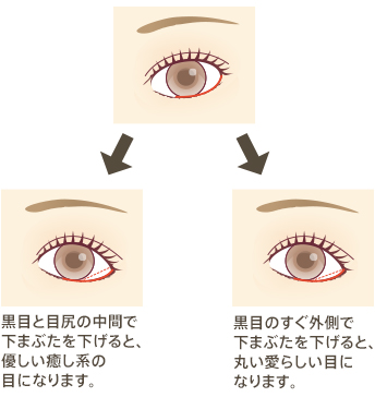 黒目と目尻の中間で下まぶたを下げると、優しい癒し系の目になります。黒目のすぐ外側で下まぶたを下げると、丸い愛らしい目になります。