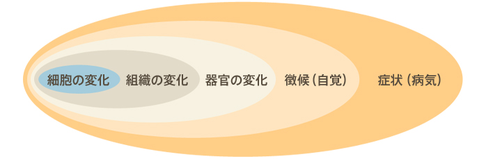 毛髪ミネラル検査 毛髪再生外来 Aga 女性の薄毛治療 美容整形 美容外科 美容皮膚科なら聖心美容クリニック