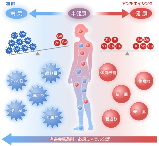 毛髪ミネラル検査 毛髪再生外来 Aga 女性の薄毛治療 美容整形 美容外科 美容皮膚科なら聖心美容クリニック