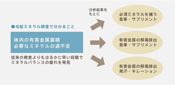 毛髪ミネラル検査 毛髪再生外来 Aga 女性の薄毛治療 美容整形 美容外科 美容皮膚科なら聖心美容クリニック