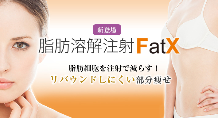 脂肪溶解注射fatx ファットエックス ダイエット外来 切らない痩身術 美容整形 美容外科 美容皮膚科なら聖心美容クリニック