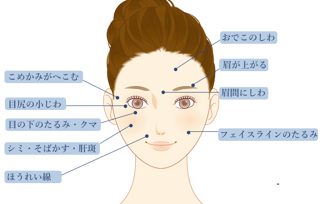 若返り 施術一覧 美容整形 美容外科なら聖心美容クリニック