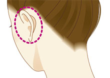 耳介軟骨の採取