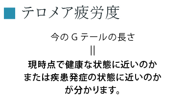 テロメア疲労度 今のGテールの長さ＝現時点で健康な状態に近いのかまたは疾患発症の状態に近いのかが分かります。