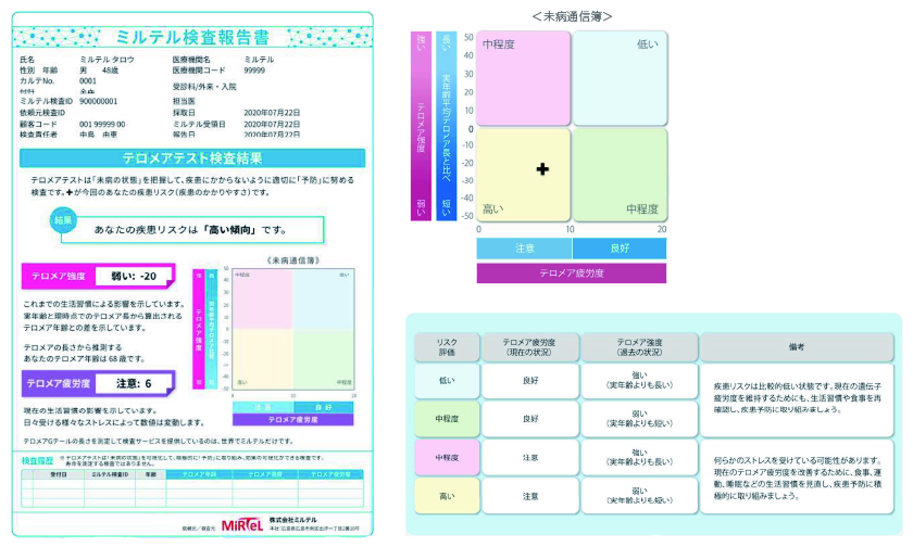 テロメアテストのレポート例