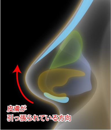 適応の重要性