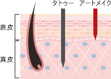 タトゥーとアートメイクの違いは？