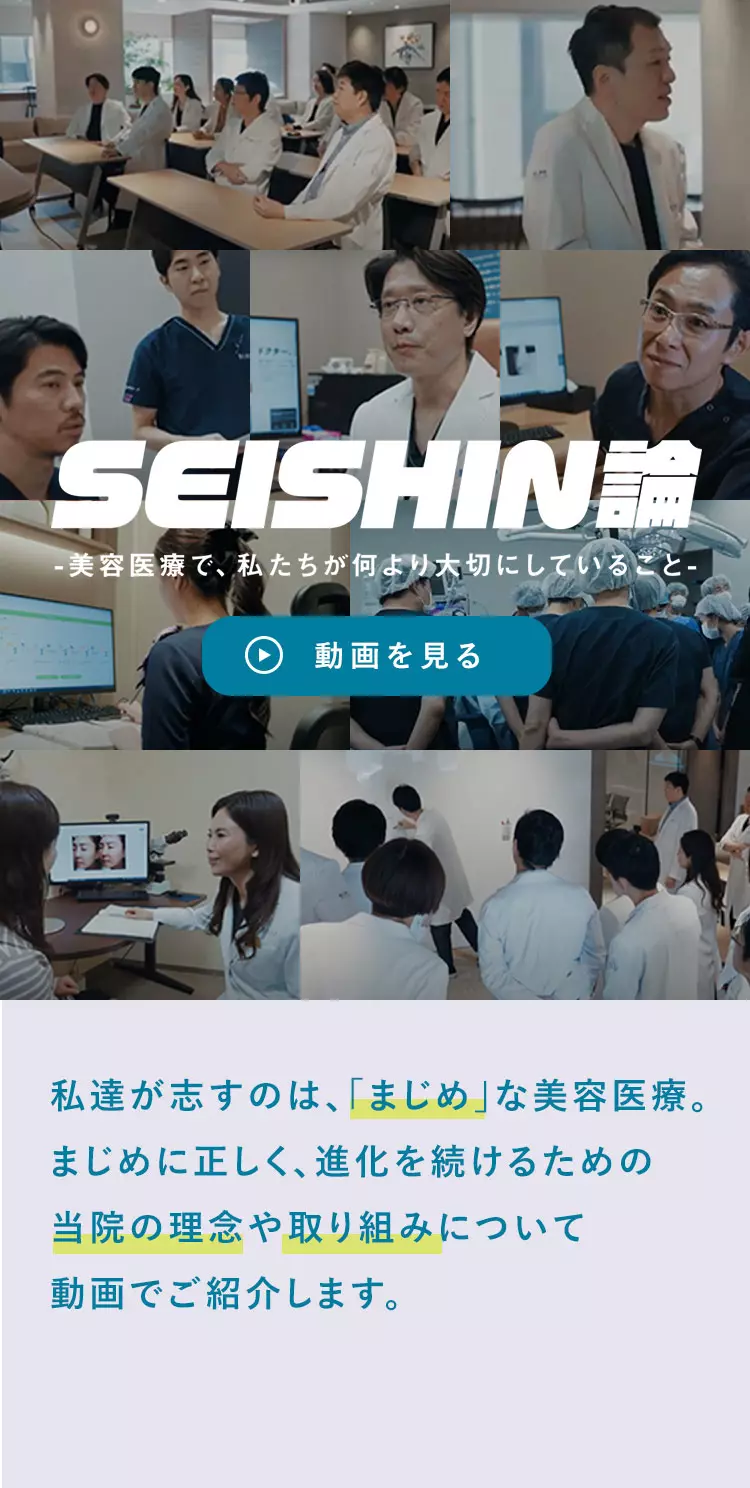 SEISHIN論