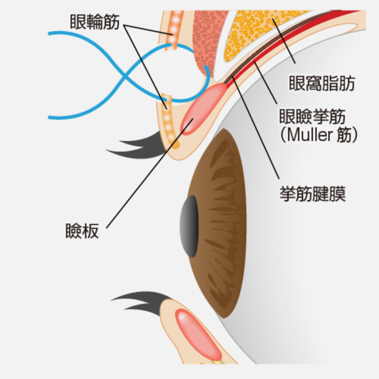 手術